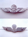 POW camp wings