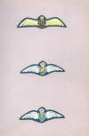 Wings of various nationalities in World War II POW camp