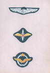 Wings of various nationalities in World War II POW camp